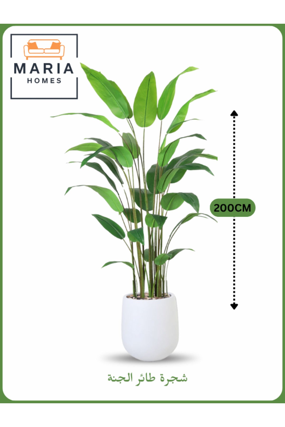 Artificial Bird of Paradise Tree 200 cm Ð Indoor Decorative Plant with White Pot