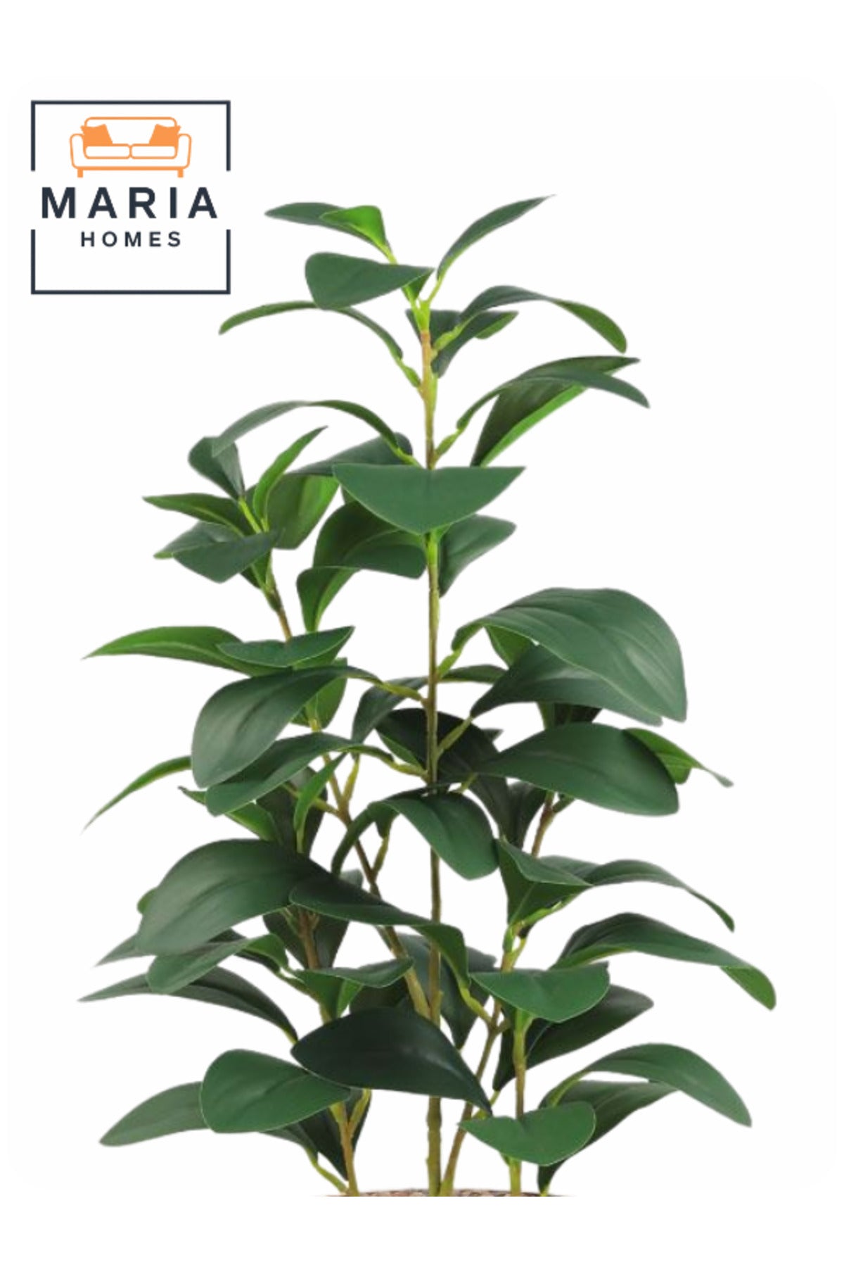 Artificial Lemon Green Leaf Plant 65 cm Ð Small Decorative Indoor Plant with Black Pot
