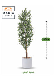Artificial Olive Tree 190 cm Ð Tall Indoor Decorative Plant with White Pot for Home & Office