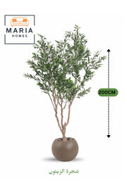 Artificial Olive Tree 200 cm Indoor Decorative Plant with Brown Plastic Pot for Home & Office decor