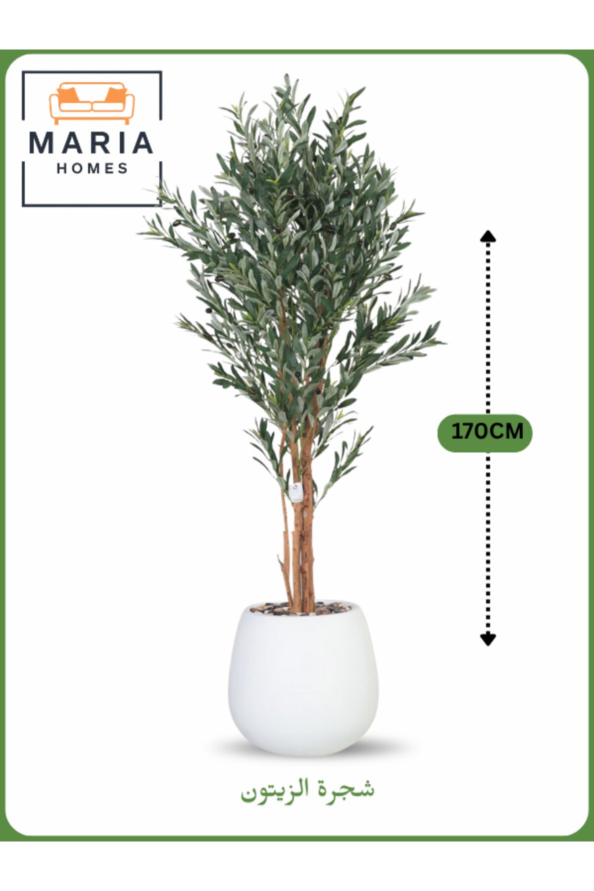 Artificial Olive Tree 170 cm Ð Decorative Indoor Tree with White Pot