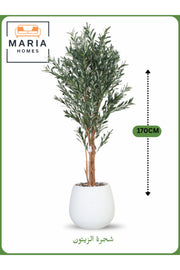 Artificial Olive Tree 170 cm Ð Decorative Indoor Tree with White Pot