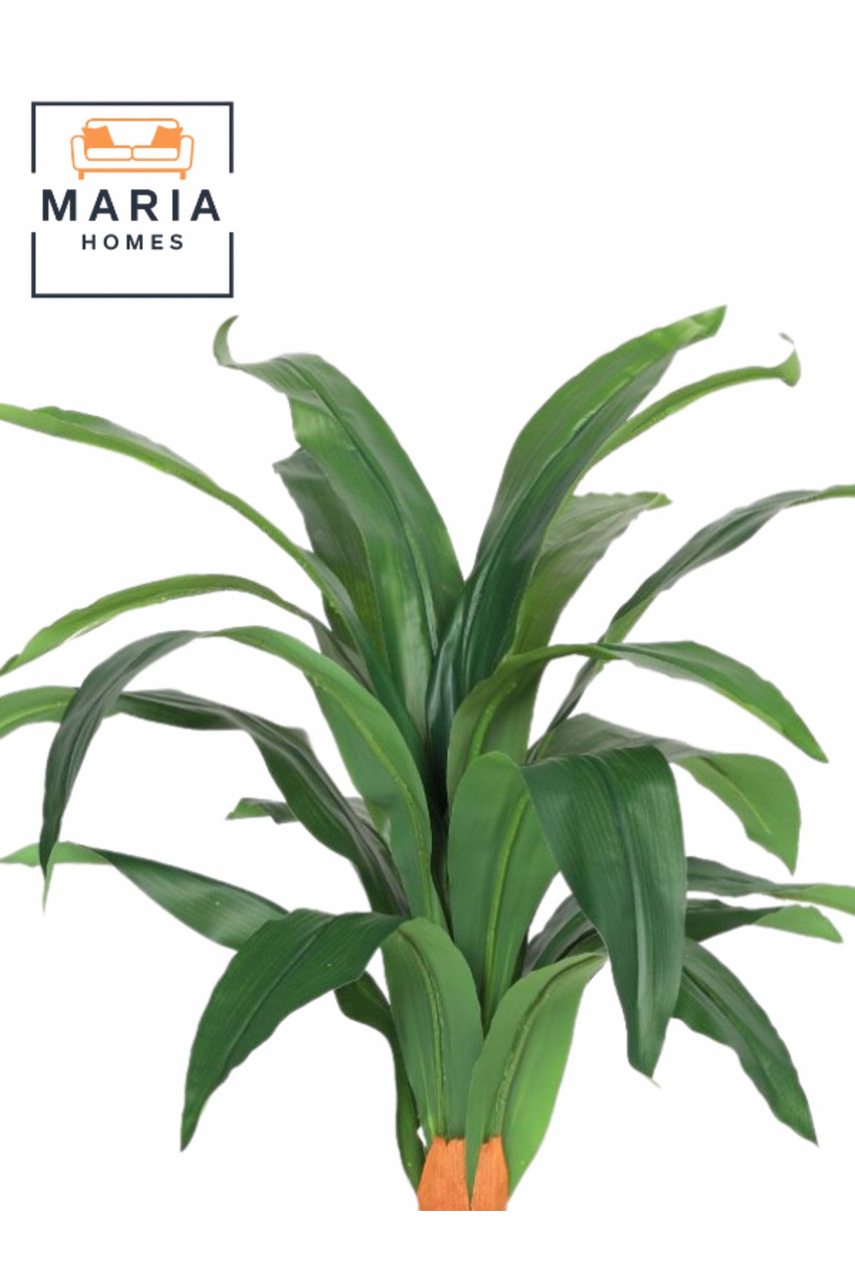 Artificial Corn Leaf Plant 80 cm Ð Decorative Green Plant with Woven Basket Pot for home and office