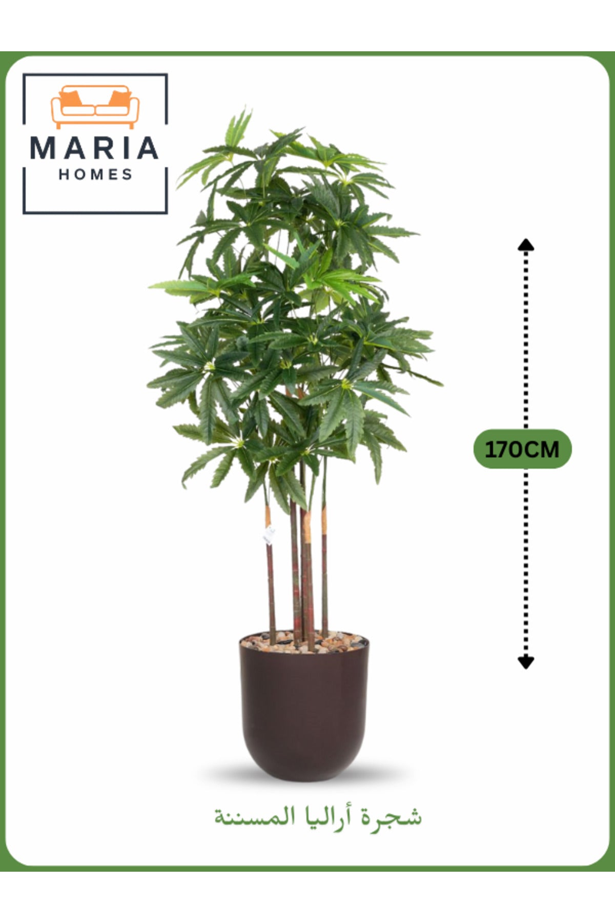 Artificial Aralia Tree 170 cm Ð 5 Branches with Brown Plastic Pot