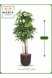 Artificial Aralia Tree 170 cm Ð 5 Branches with Brown Plastic Pot