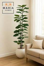 Artificial Alocasia Tree 230 cm Ð Tall Decorative Plant in White Plastic Pot