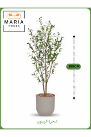 Artificial Olive Tree 155 cm Ð Indoor Decorative Plant with Beige Pot