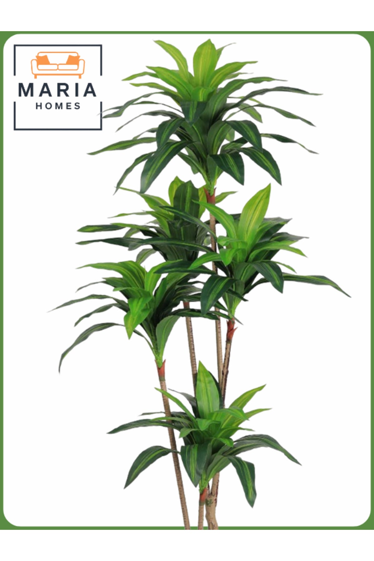 Artificial Corn Leaf Tree 180 cm Ð Indoor Faux Plant with Brown Pot