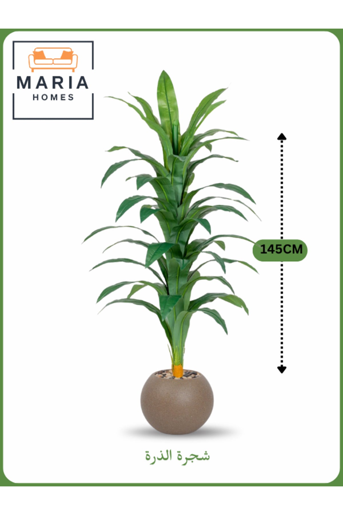 Artificial Corn Leaf Tree 145 cm Ð Decorative Indoor Plant with Brown Pot