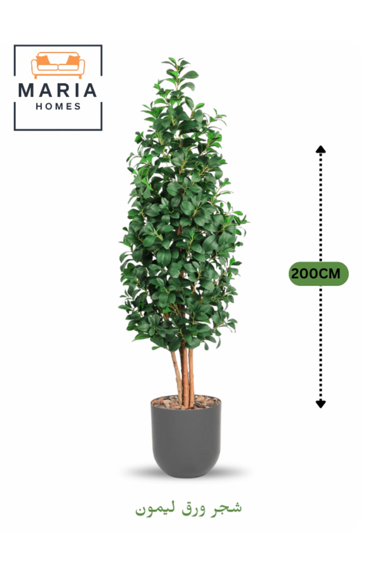 Artificial Lemon Leaf Tree 200 cm Ð Green Foliage in Grey Plastic Pot for home decor