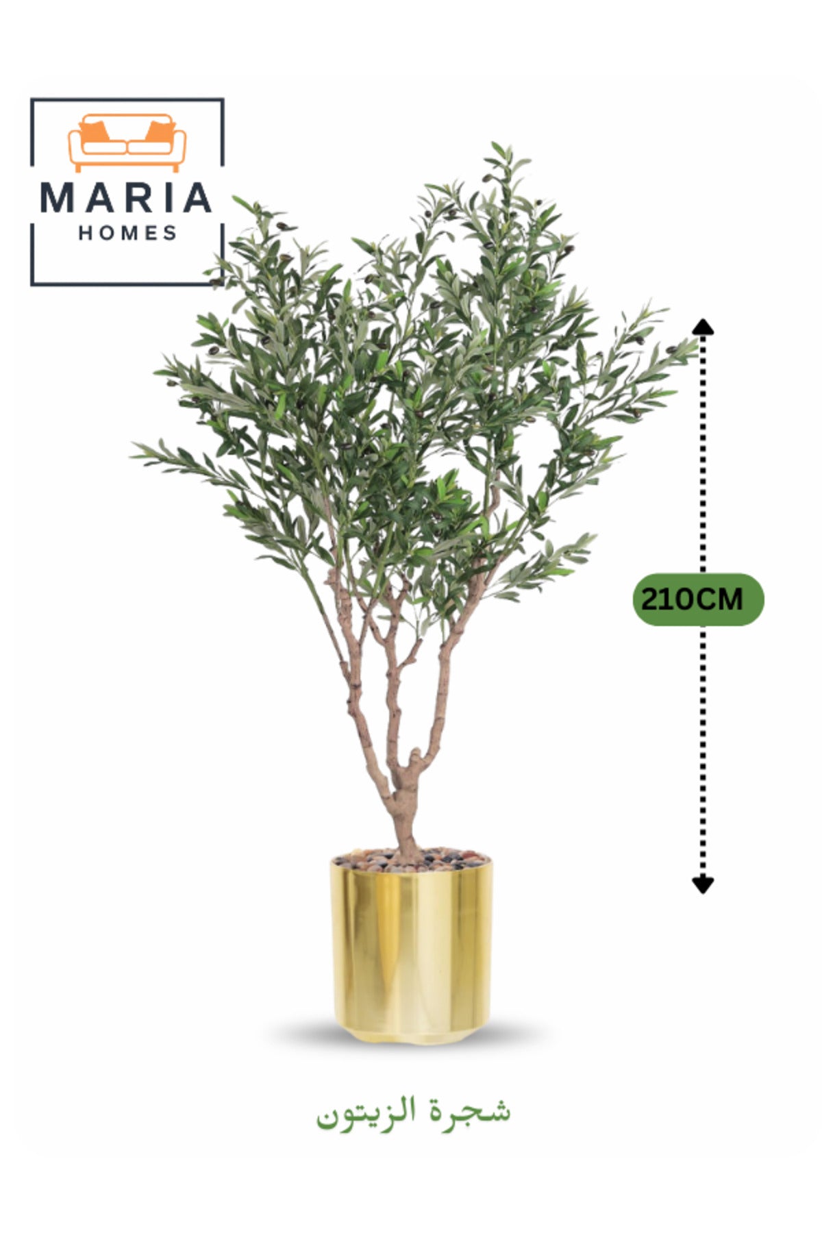 Artificial Olive Tree 210 cm Ð Green Foliage with Gold Plastic Pot for home & office decor