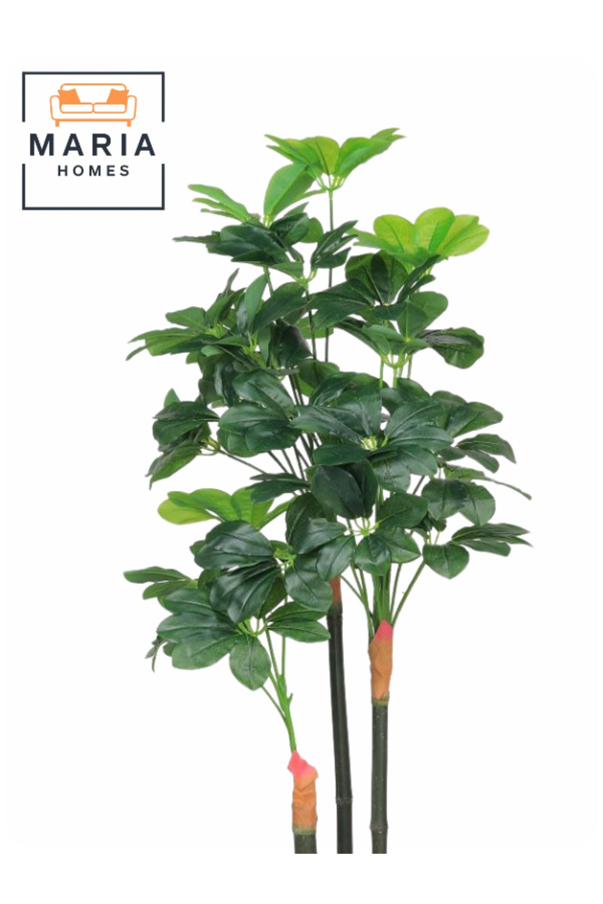 Artificial Schefflera Tree 155 cm Ð Indoor Decorative Plant with 3 Trunks in Grey Pot