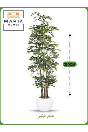 Artificial Ficus Tree 250 cm Ð Tall Indoor Decorative Plant with White Pot