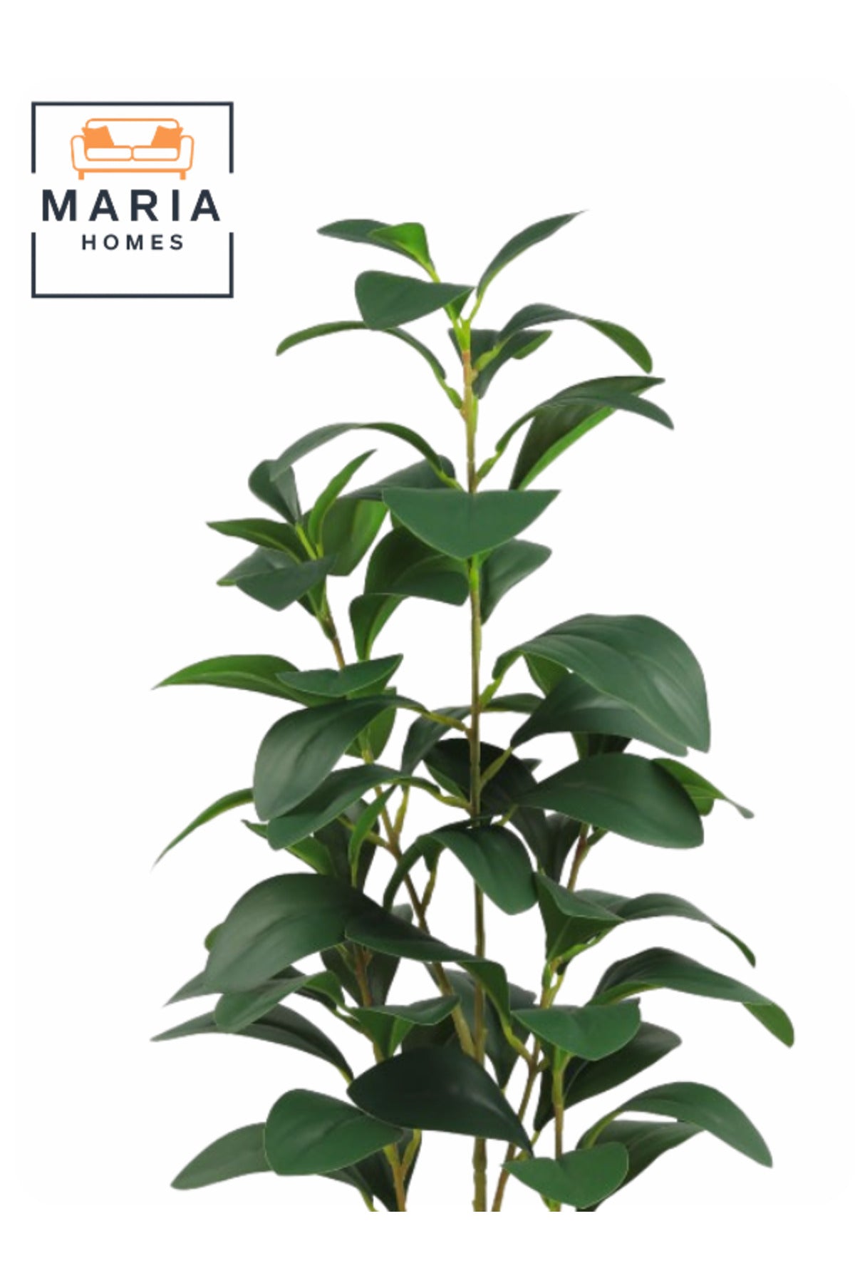 Artificial Lemon Leaf Plant 55 cm Ð Green Foliage in Silver Plastic Pot for home decor