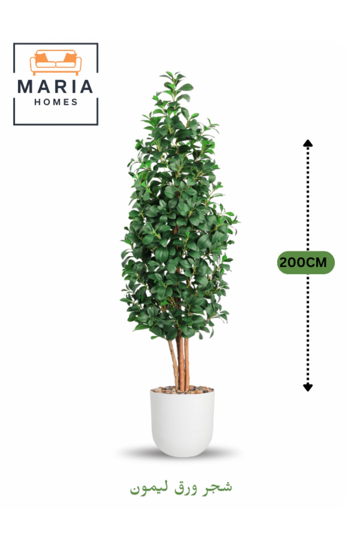 Artificial Lemon Leaf Tree 200 cm Ð Green Foliage in White Plastic Pot for home decor