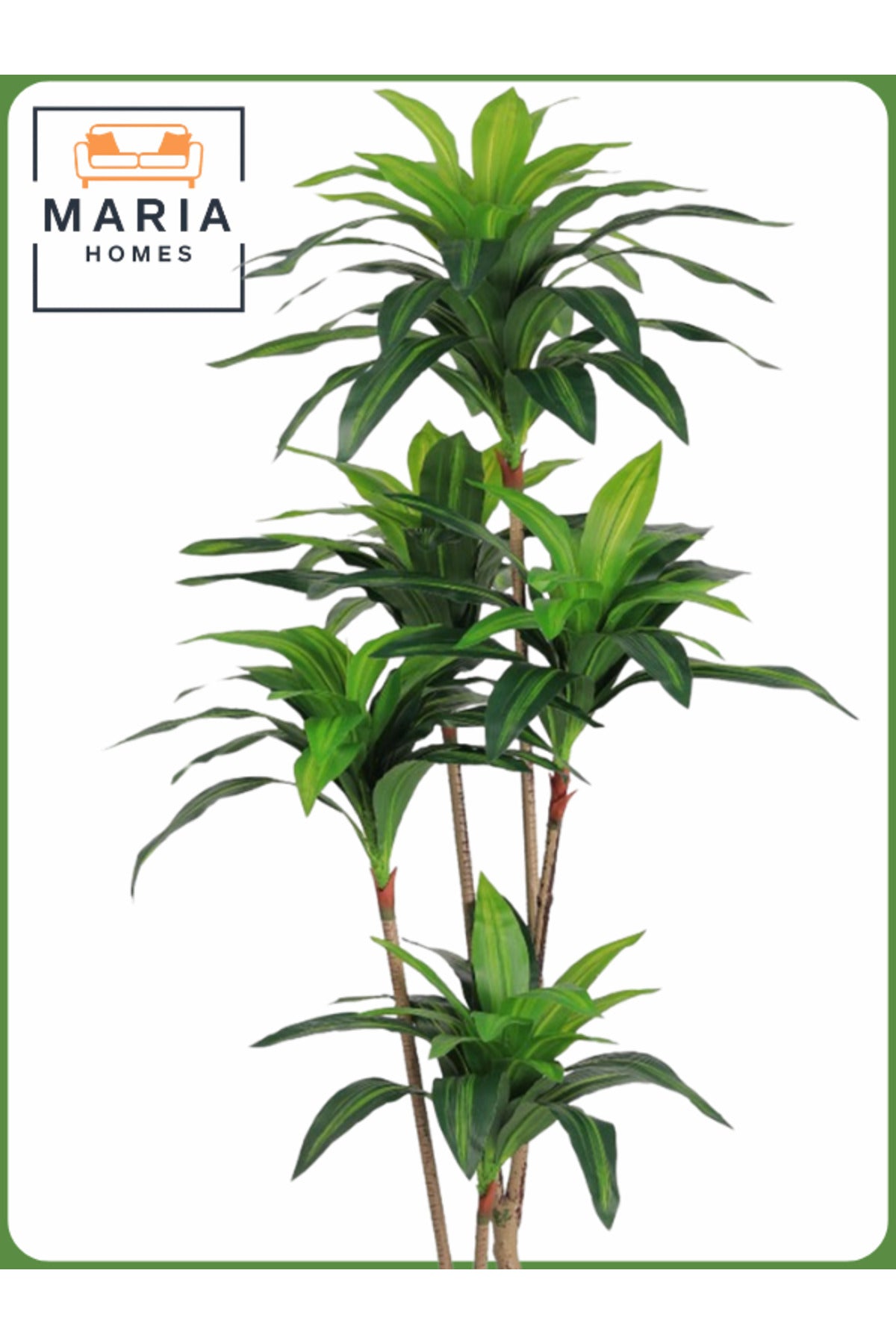 Artificial Corn Leaf Tree 180 cm Ð Indoor Faux Plant with White Pot