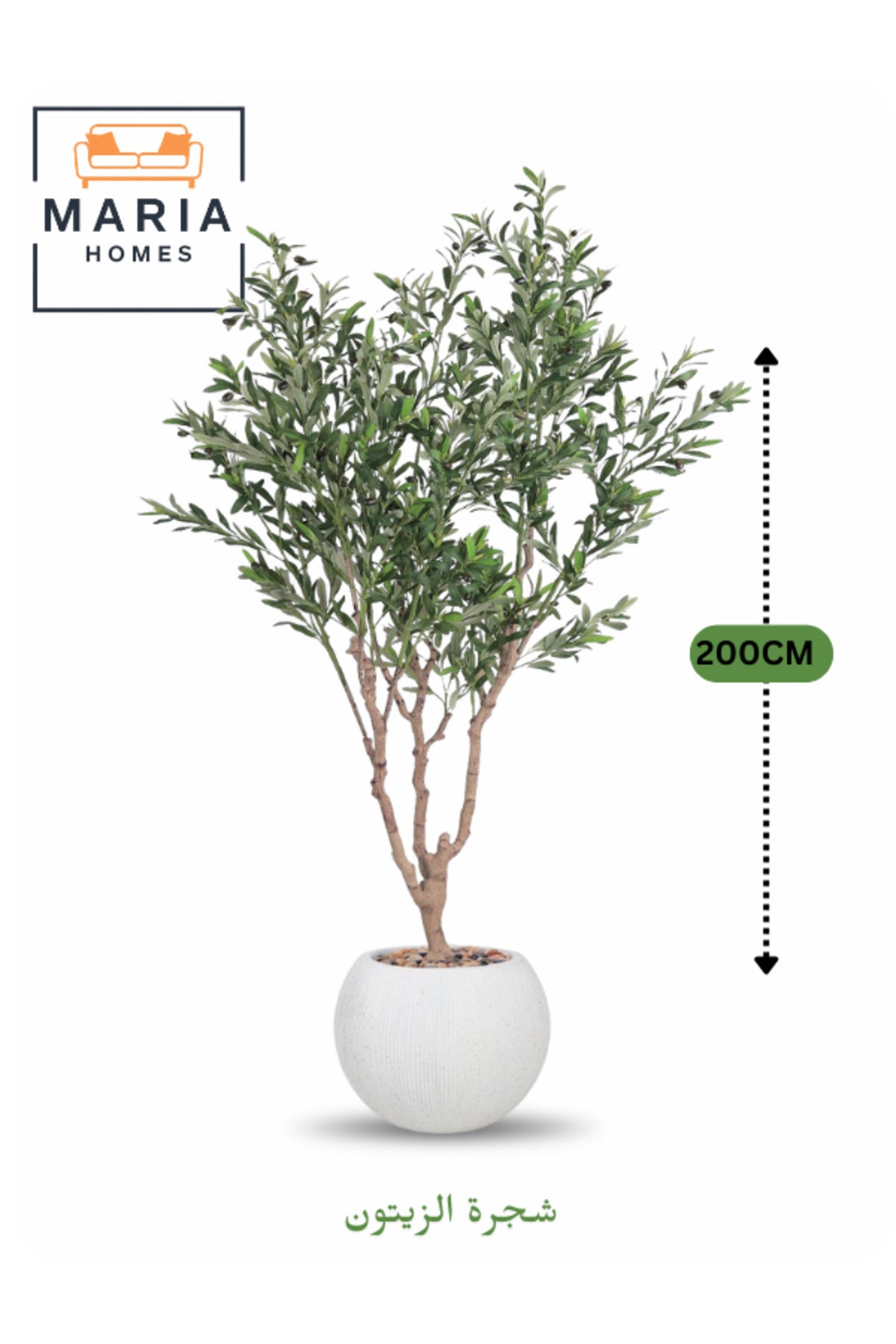 Artificial Olive Tree 200 cm Ð Green Foliage with White Fiber Pot for home & office decor