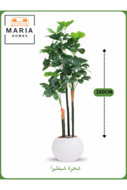 Artificial Schefflera Tree 150 cm Ð Decorative Indoor Plant with White Pot
