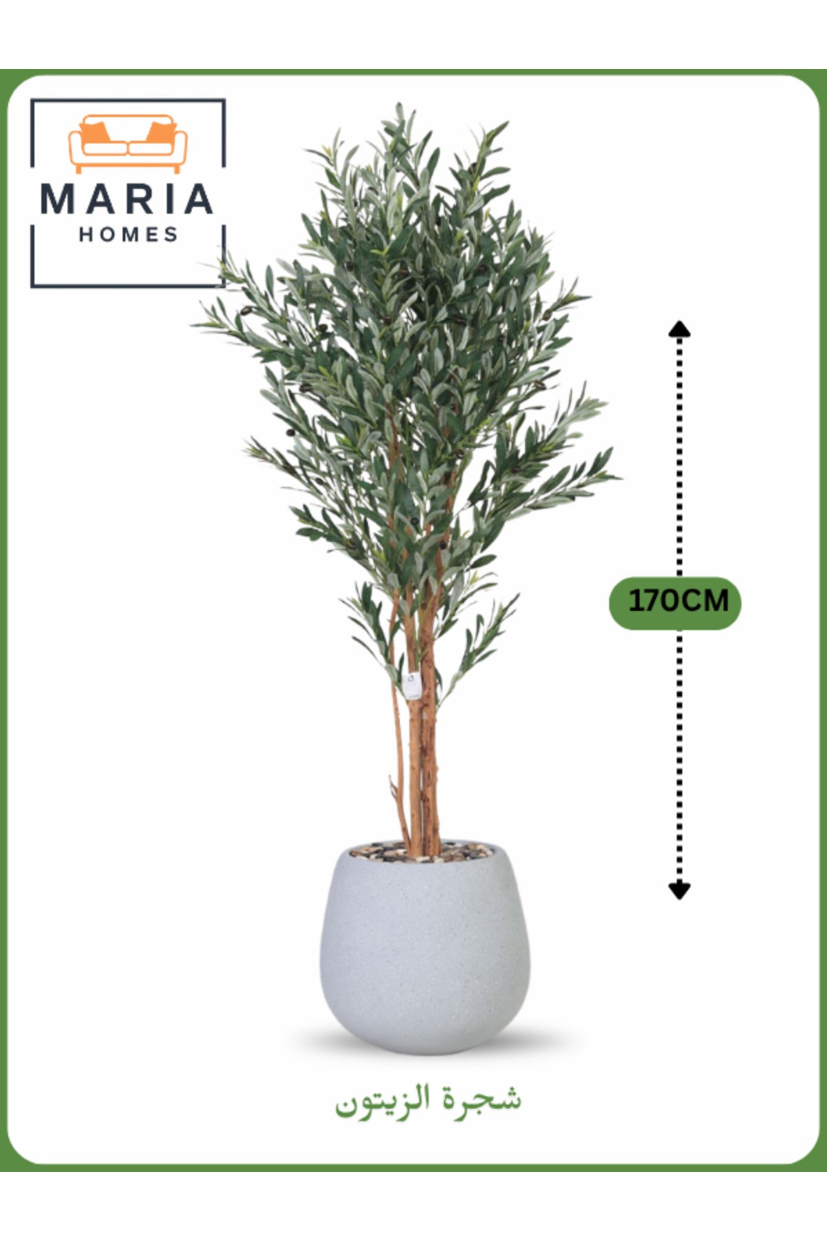 Artificial Olive Tree 170 cm Ð Decorative Indoor Tree with Gray Pot
