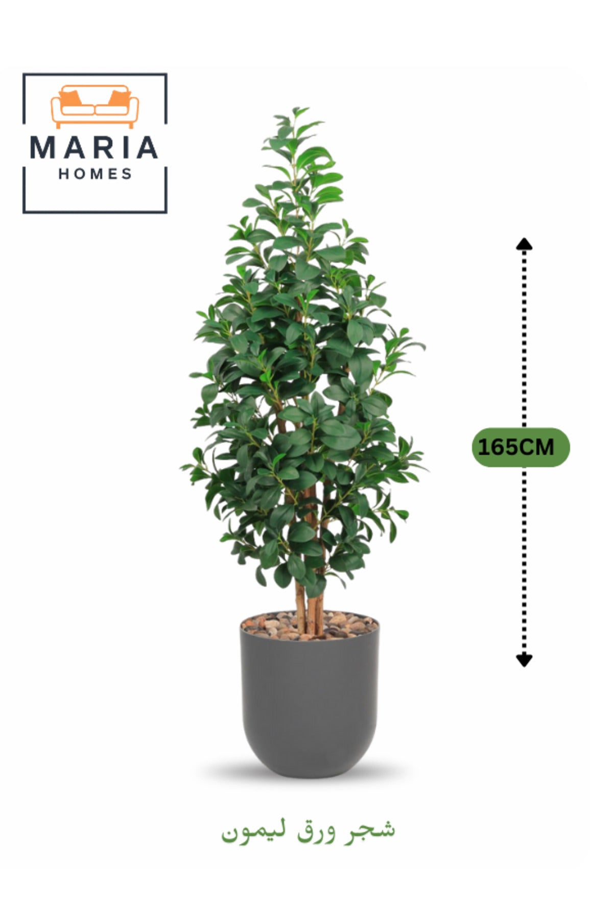 Artificial Lemon Leaf Tree 165 cm Ð Green Foliage in Grey Plastic Pot for home decor