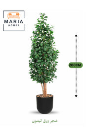 Artificial Lemon Leaf Tree 200 cm Ð Green Foliage in Black Plastic Pot for home decor