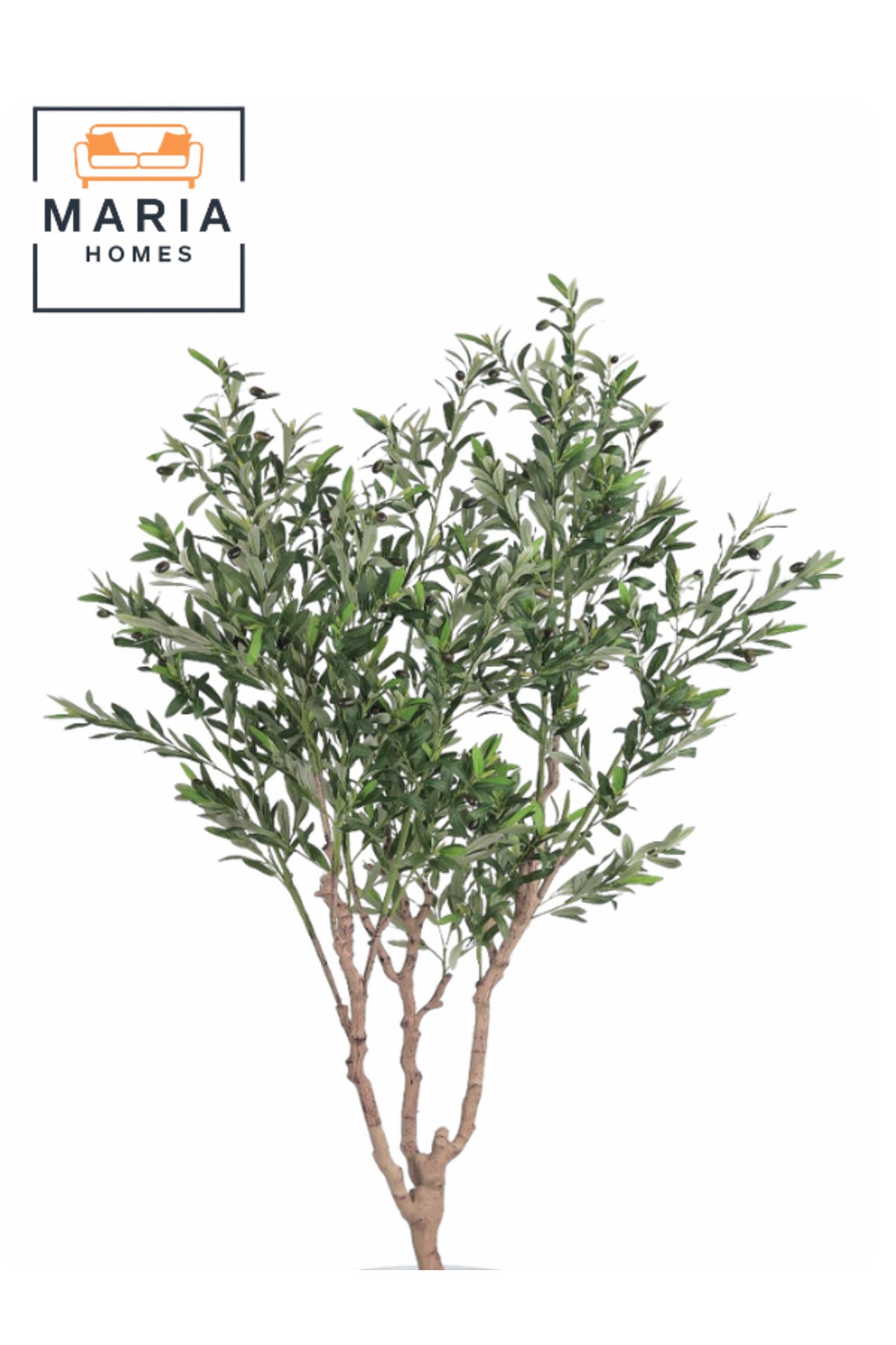 Artificial Olive Tree 200 cm Ð Decorative Plant in Light Grey Fiber Pot for home & office decor