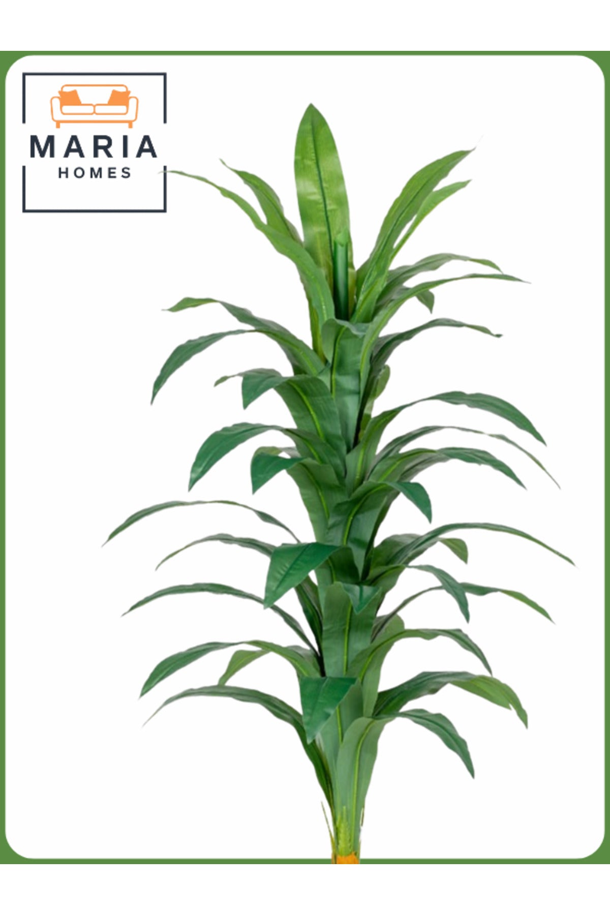 Artificial Corn Leaf Tree 145 cm Ð Decorative Indoor Plant with new White Pot