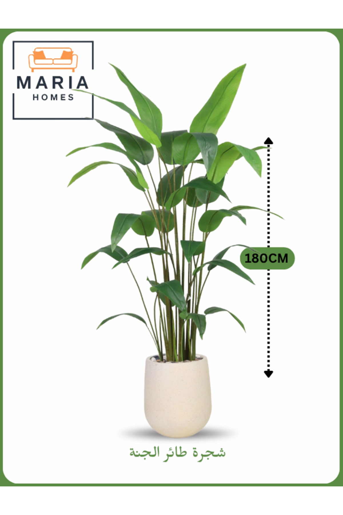 Artificial Bird of Paradise Tree 180 cm Ð Tall Indoor Plant with Beige Gray Pot