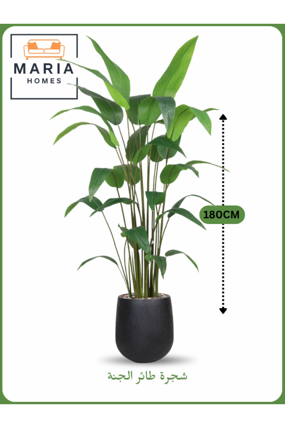 Artificial Bird of Paradise Tree 180 cm Ð Tall Indoor Plant with Black Pot