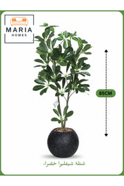 Artificial Schefflera Plant 85 cm Ð Decorative Indoor Plant with Black Pot