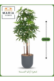 Artificial Aralia Tree 170 cm Ð 5 Branches with Gray Plastic Pot