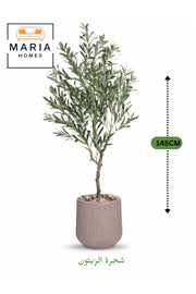 شجرة زيتون صناعية 145 سم - نبتة زينة داخلية مع أصيص بيج للمنزل والمكتب