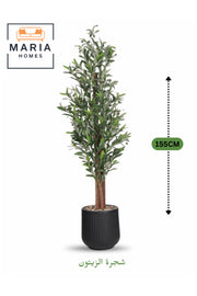 Artificial Olive Tree 155 cm Ð Wooden Trunk Decorative Plant with Black Plastic Pot