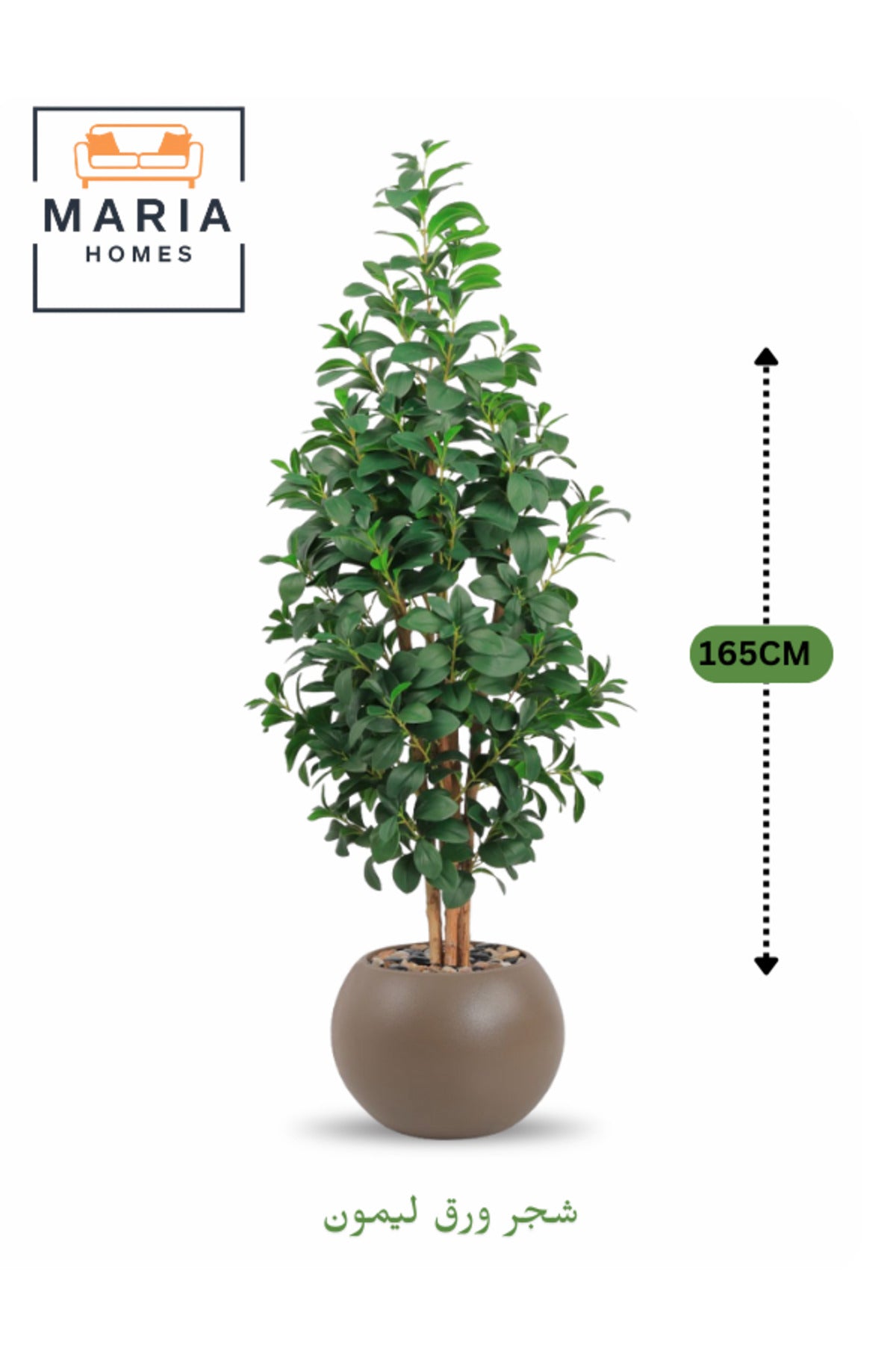 Artificial Lemon Leaf Tree 165 cm Ð Green Foliage in Round Brown Plastic Pot for home decor