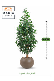 Artificial Lemon Leaf Tree 165 cm Ð Green Foliage in Round Brown Plastic Pot for home decor