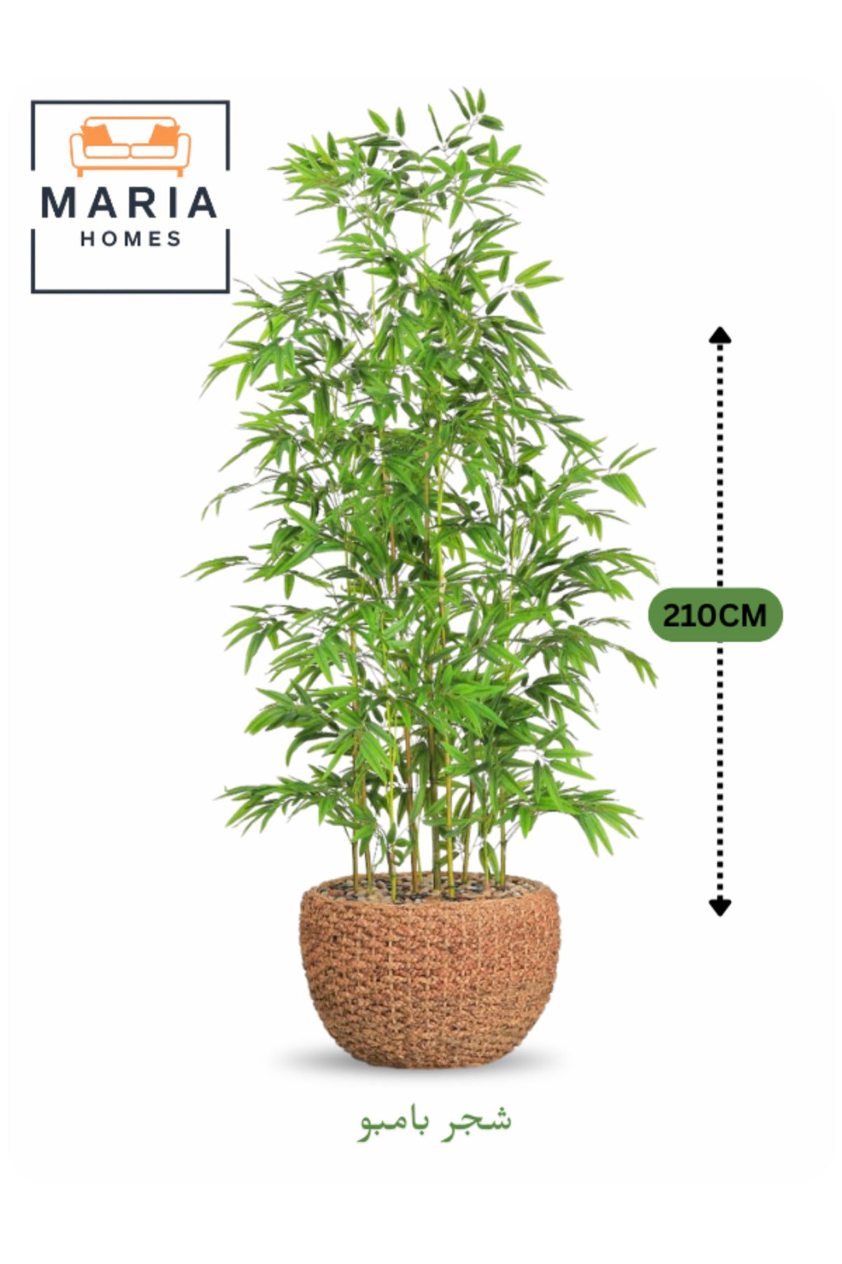 Artificial Bamboo Tree 210 cm Ð Decorative Plant with Natural Brown Pot