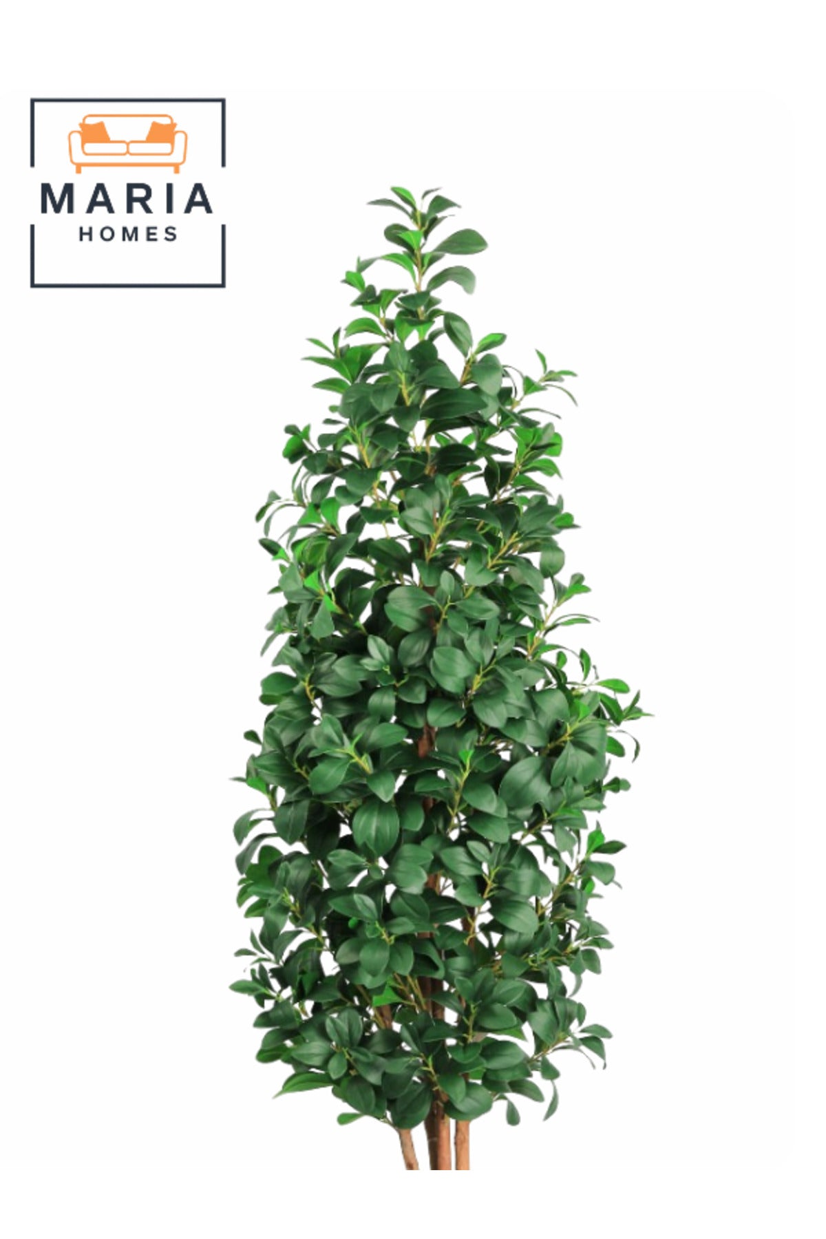 Artificial Lemon Leaf Tree 200 cm Ð Green Foliage in Light Gray Plastic Pot for home decor