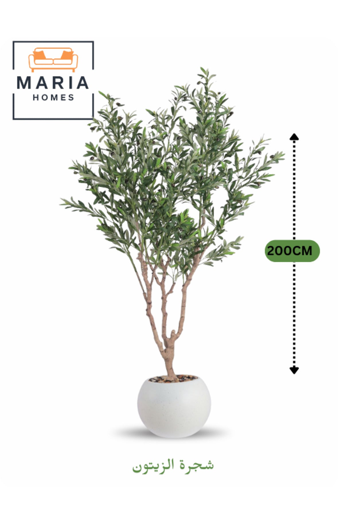Artificial Olive Tree 200 cm Ð Indoor Decorative Plant with Off-White Plastic Pot for Home & Office