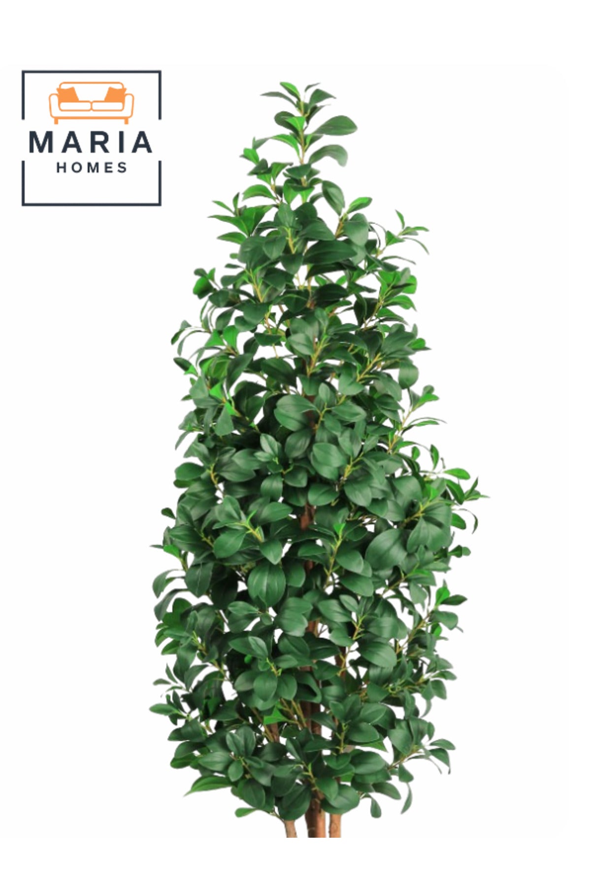 Artificial Lemon Leaf Tree 200 cm Green Foliage in OFF WHITE Plastic Pot for home decor