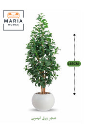 Artificial Lemon Leaf Tree 165 cm Ð Green Foliage in Round Off-White Plastic Pot for home decor