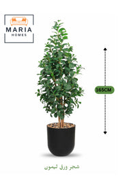 Artificial Lemon Leaf Tree 165 cm Green Foliage in Black Plastic Pot for home decor