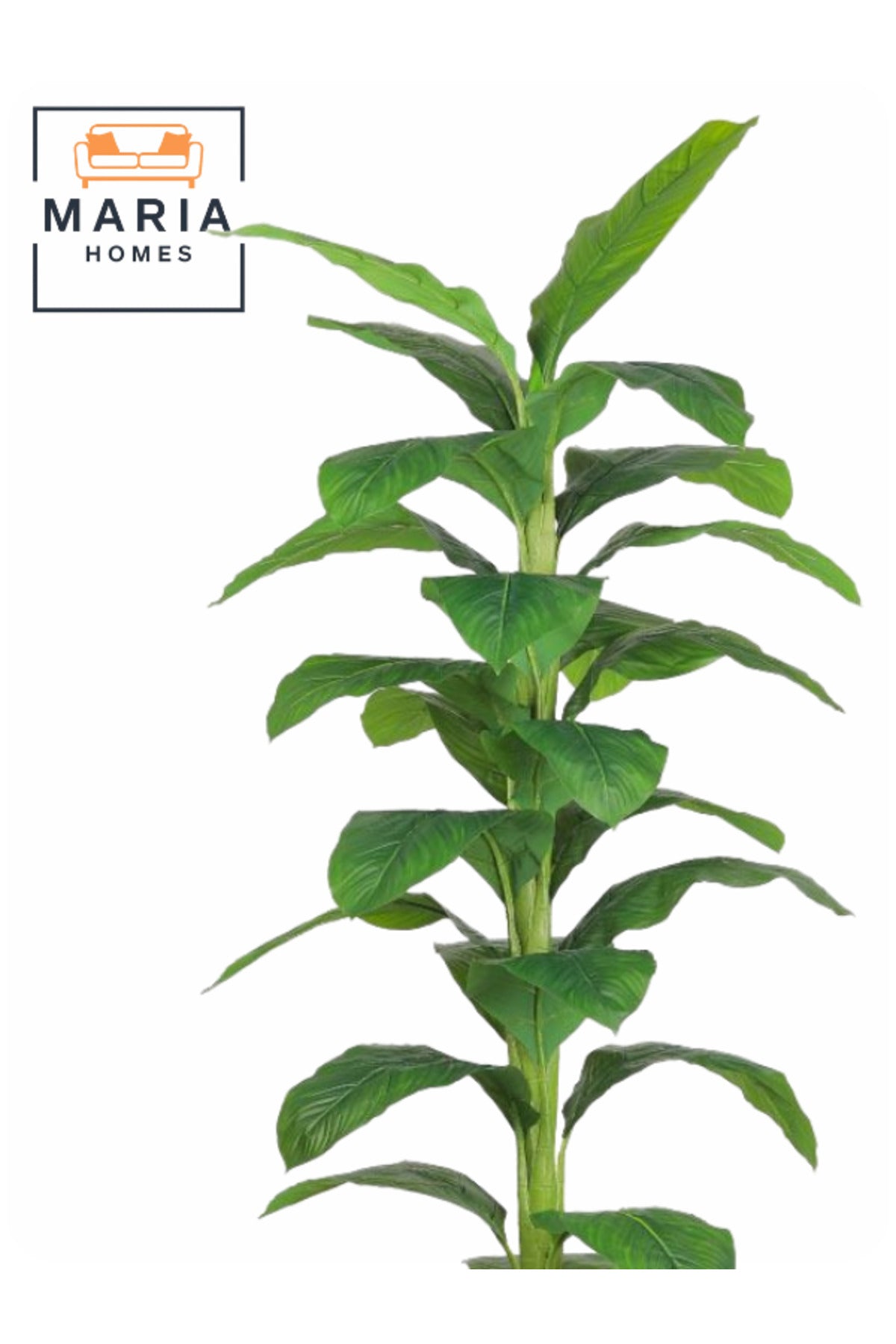 Artificial Green Leaf Tree 200 cm Ð Decorative Tall Plant with Black Plastic Pot