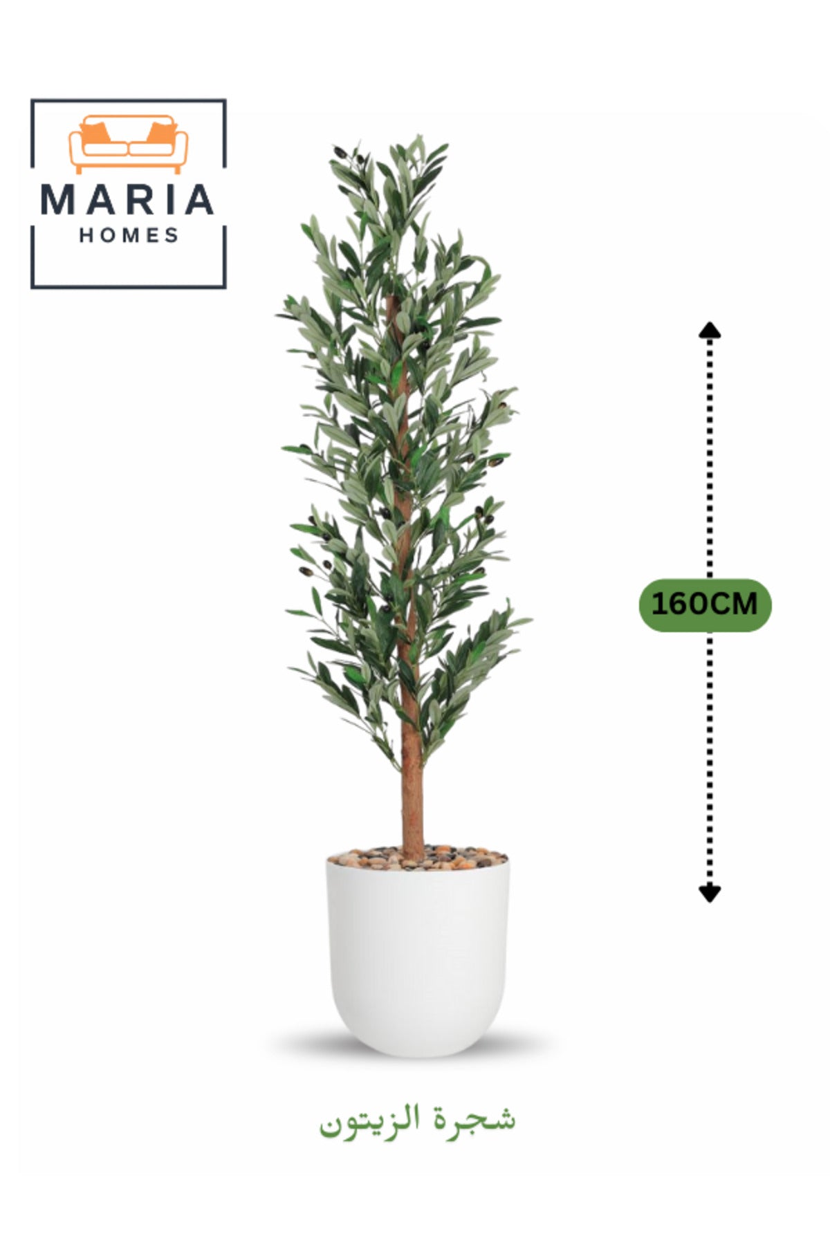 Artificial Olive Tree 160 cm Ð Tall Decorative Plant with White Plastic Pot for home & office