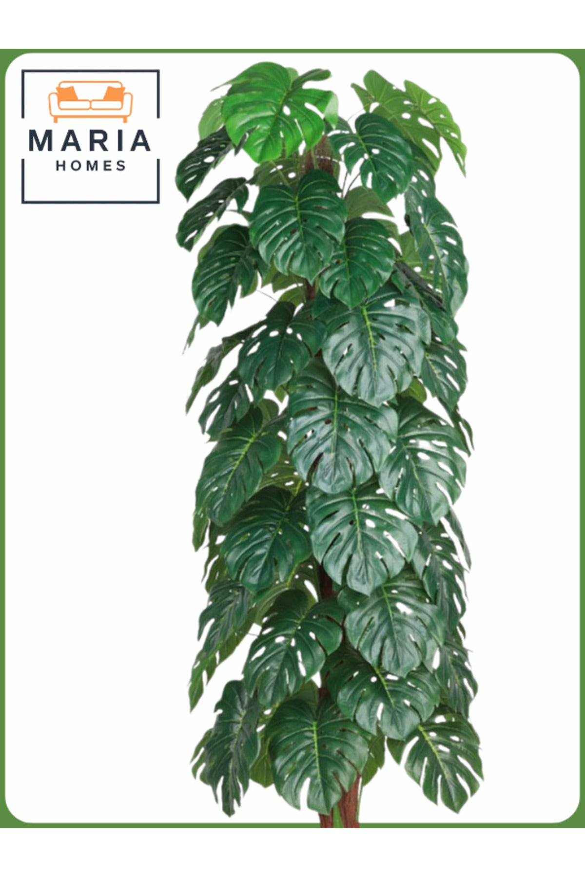 Artificial Monstera Tree 200 cm Ð Decorative Indoor Plant with Black Pot
