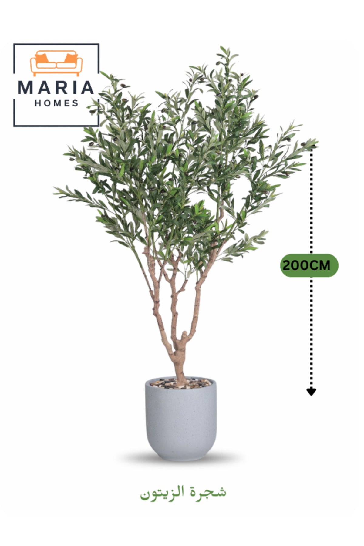 Artificial Olive Tree 200 cm Ð Decorative Plant in Light Grey Fiber Pot for home & office decor