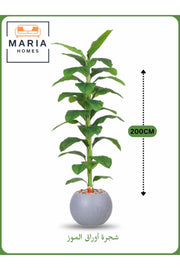 Artificial Banana Leaf Tree 200 cm Ð Indoor Decorative Plant with Light GRAY Pot