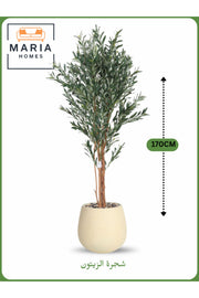 Artificial Olive Tree 170 cm Ð Decorative Indoor Tree with Beige Pot