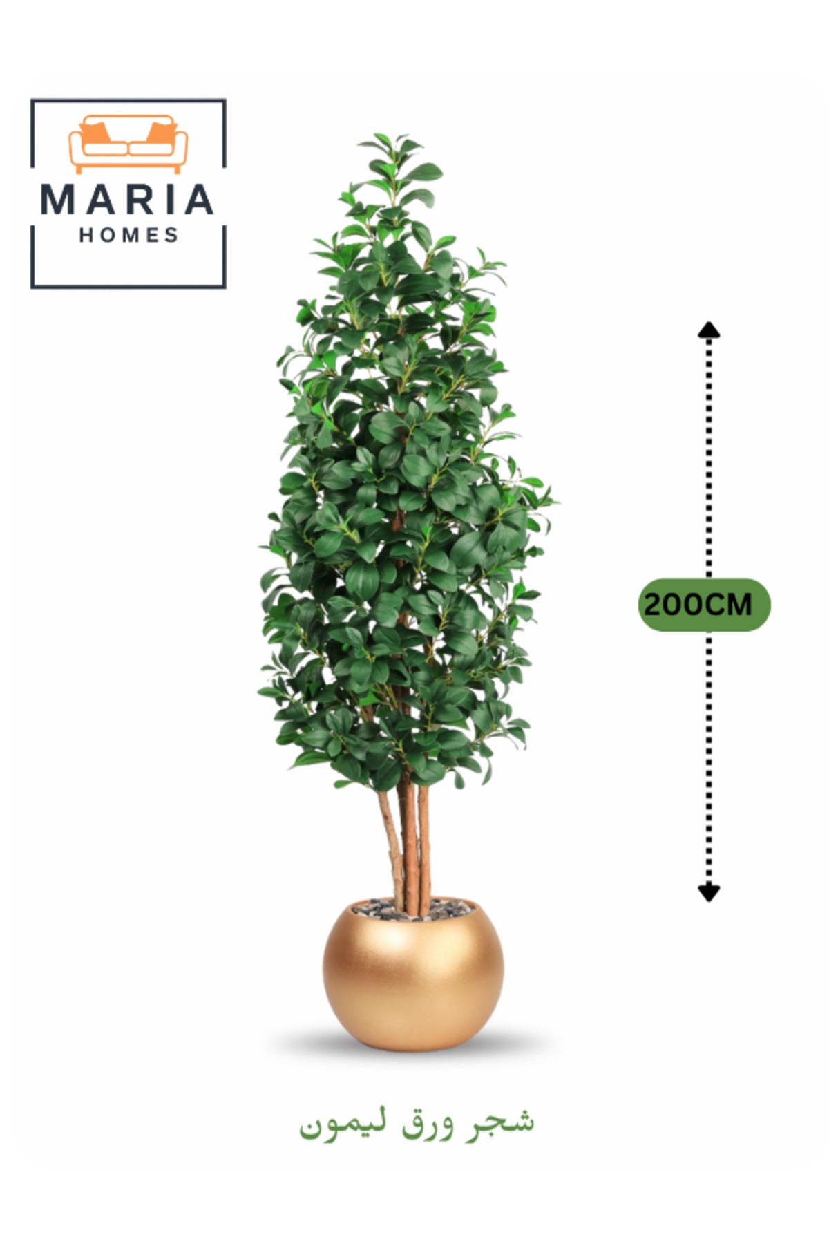 Artificial Lemon Leaf Tree 200 cm Ð Green Foliage in Round Golden Plastic Pot for home decor