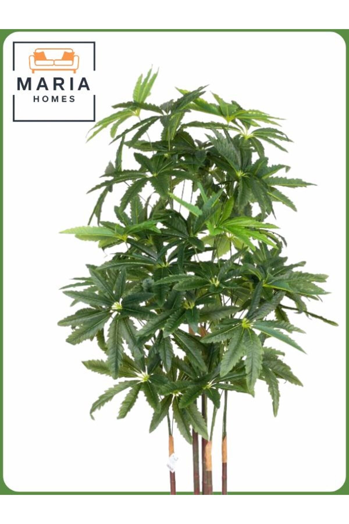 Artificial Aralia Tree 170 cm Ð 5 Branches with Gray Plastic Pot