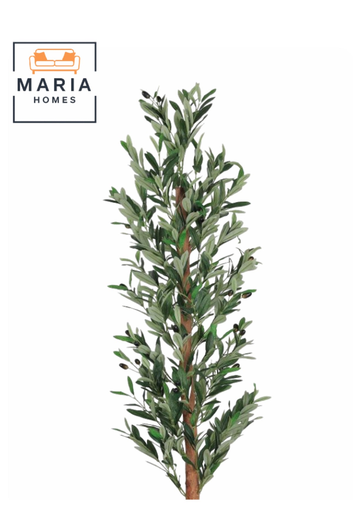 Artificial Olive Tree 160 cm Ð Tall Decorative Plant with Black Plastic Pot for home & office